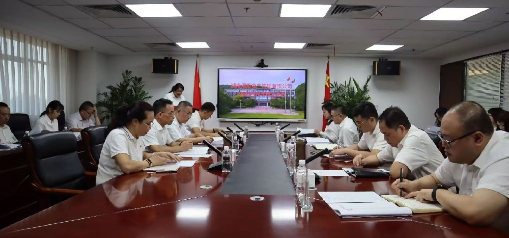 聚力攻坚提质增效，奋楫扬帆决胜全年——湘投资产召开2025年半年度工作会议
